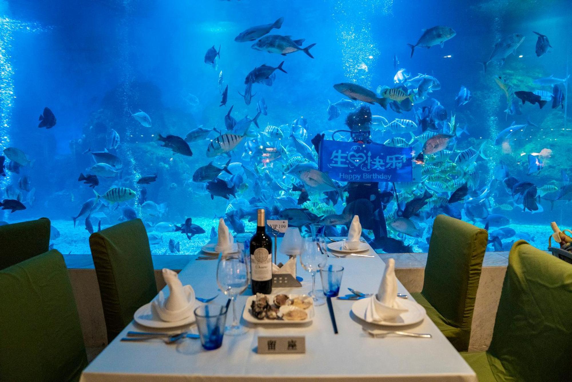 Palace Resort Yalong Bay 싼야 외부 사진